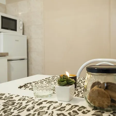 City דירה זאדאר